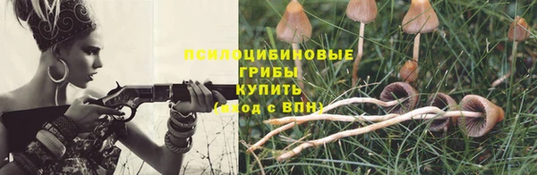 эйфоретик Алексин